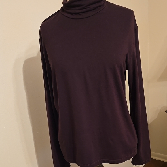 Ralph Lauren Tops - Ralph Lauren Turtle Neck Long Sleeve Rayon&Lyrca Brown XL NWOT